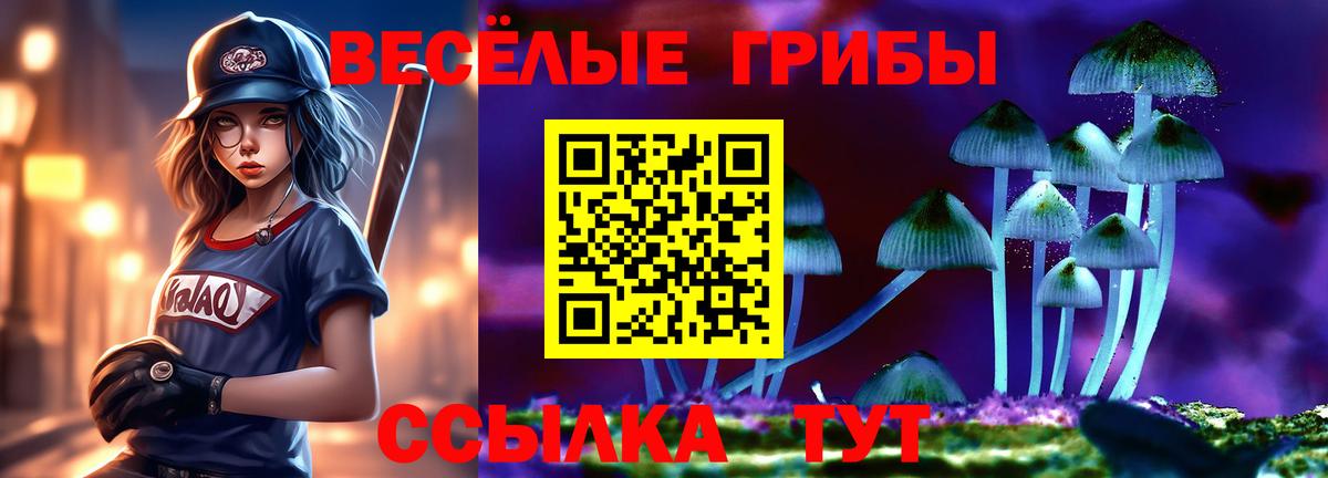 Орехово-Зуево  Псилоцибиновые грибы Psilocybine cubensis  Галлюциногенные грибы прущие грибы  Вход с VPN 